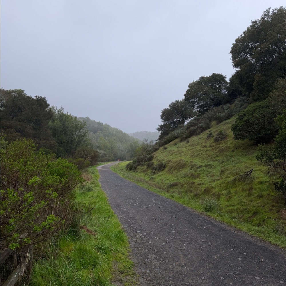 Meet your Posher, Bella